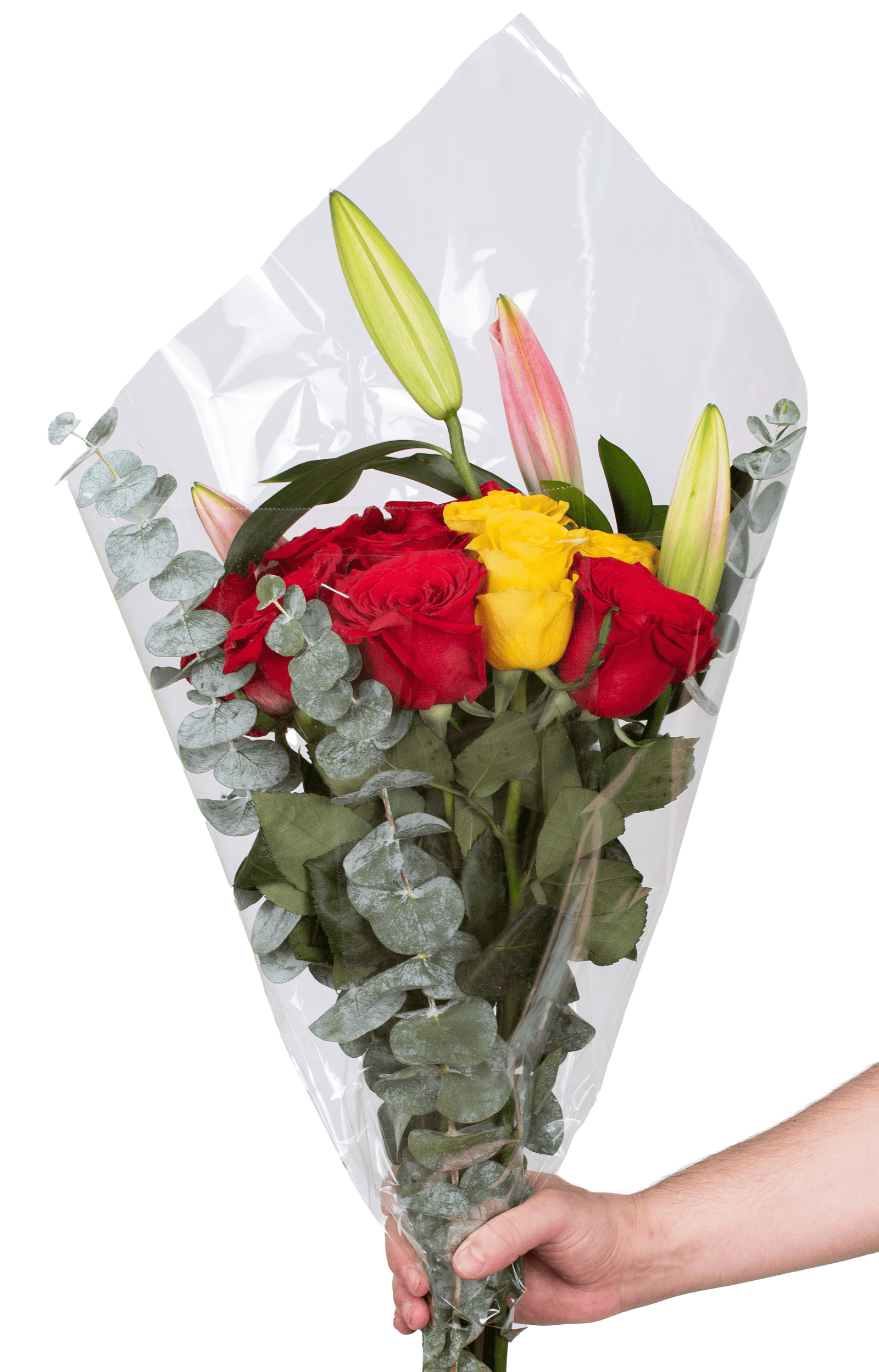 DSC_1481.png - Forever Floral Gifts