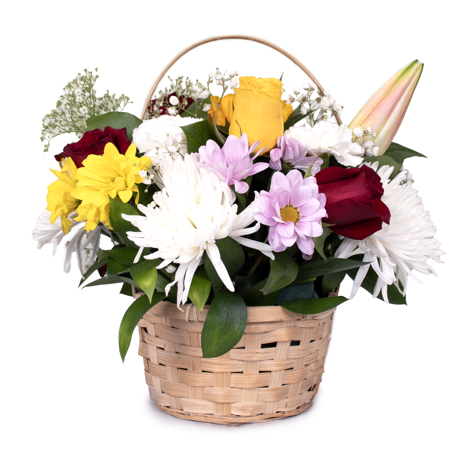 Spring 6 - Image 2