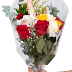 Arrangement 6