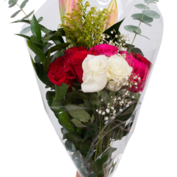 Arrangement 7