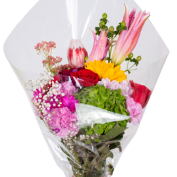 Arrangement 9