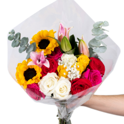 Arrangement 11