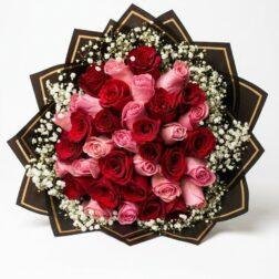 Midnight Rose - Luxury Buchón