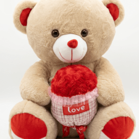 Valentine's Day Plush Teddy Bear